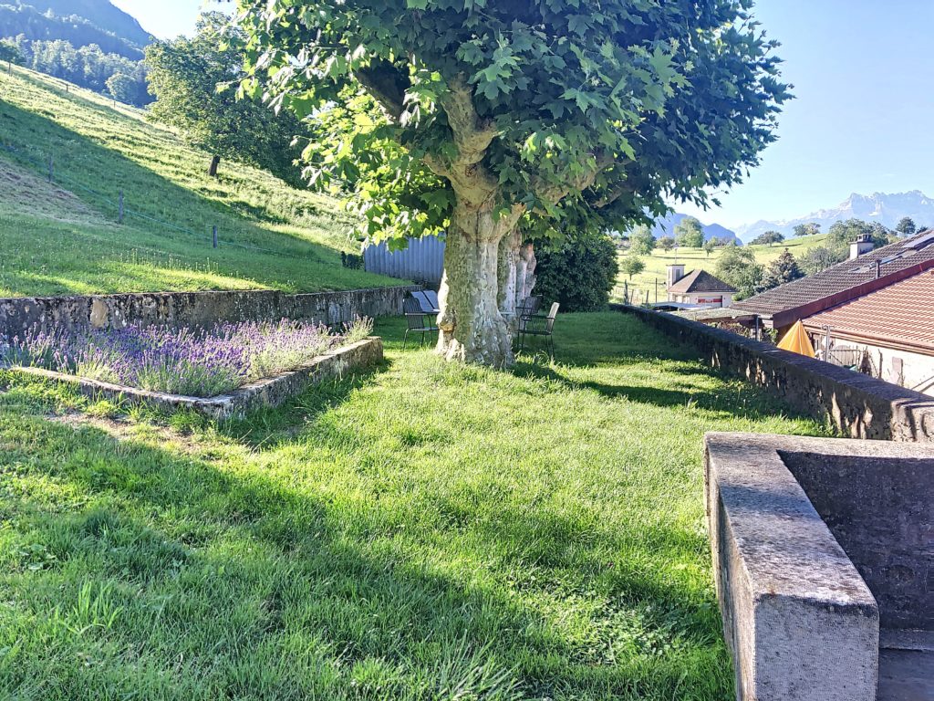 brent-1594277396_1594277532_77555