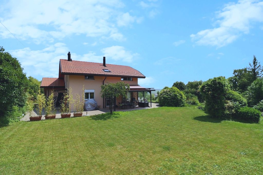 {"discarded_img":0,"scene":1}