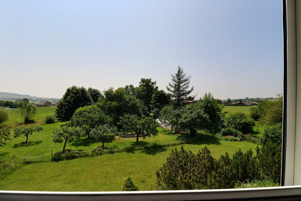 {"discarded_img":0,"scene":1}